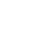 profiessional cleaning icon