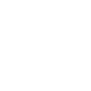 profiessional cleaning icon