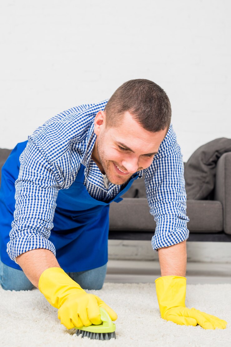 carpet cleaning north york